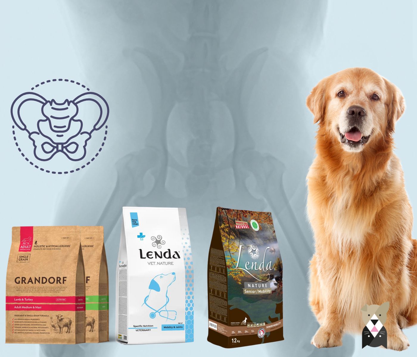 Les recommandations-croquettes pour l'arthrose du chien